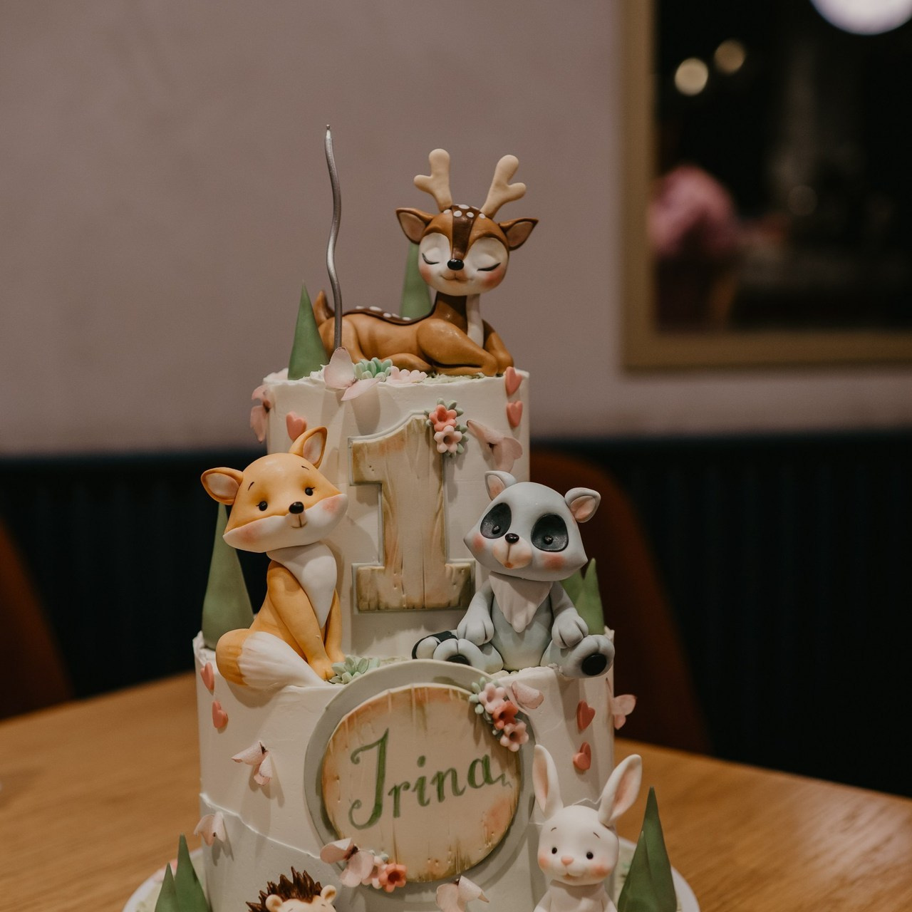 Fotograf za vencanja i porodicnu fotografiju. Ana Sladojevic