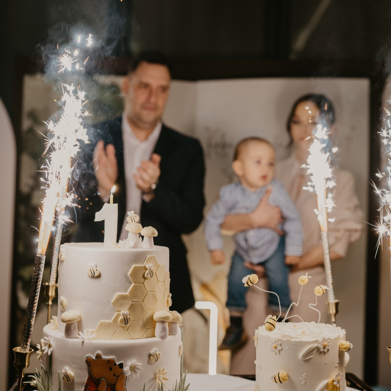 Fotograf za vencanja i porodicnu fotografiju. Ana Sladojevic