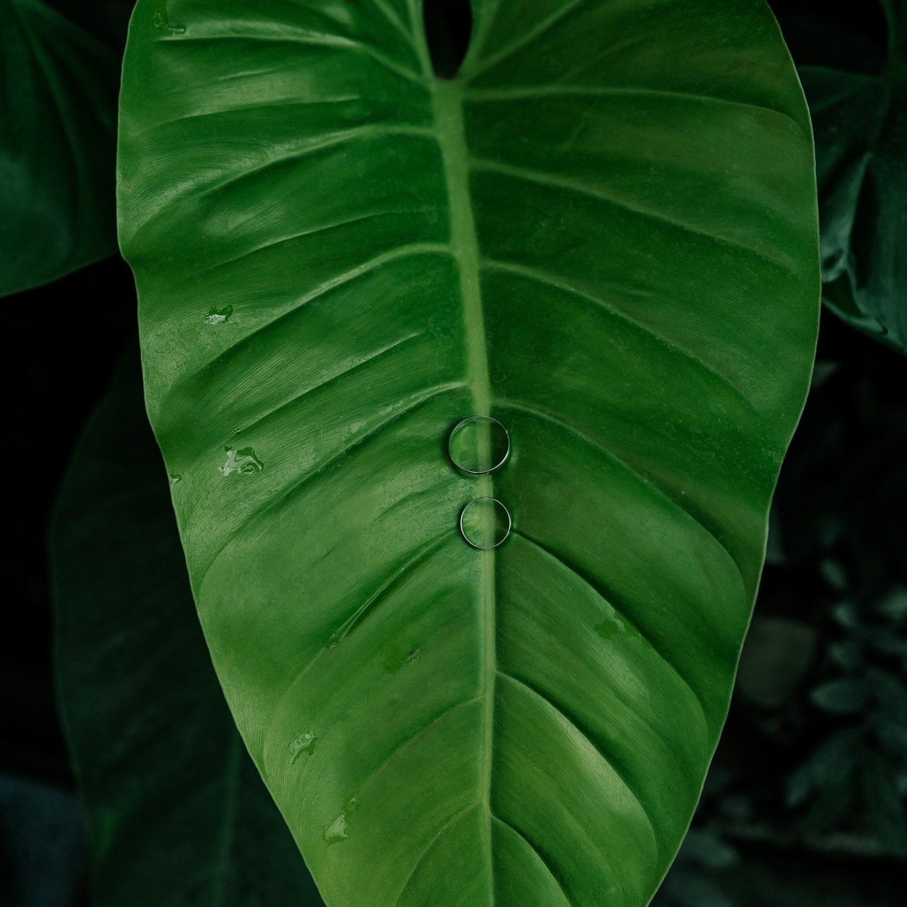 Відгуки. Весільний та сімейний фотограф в Кракові Климова Яна
