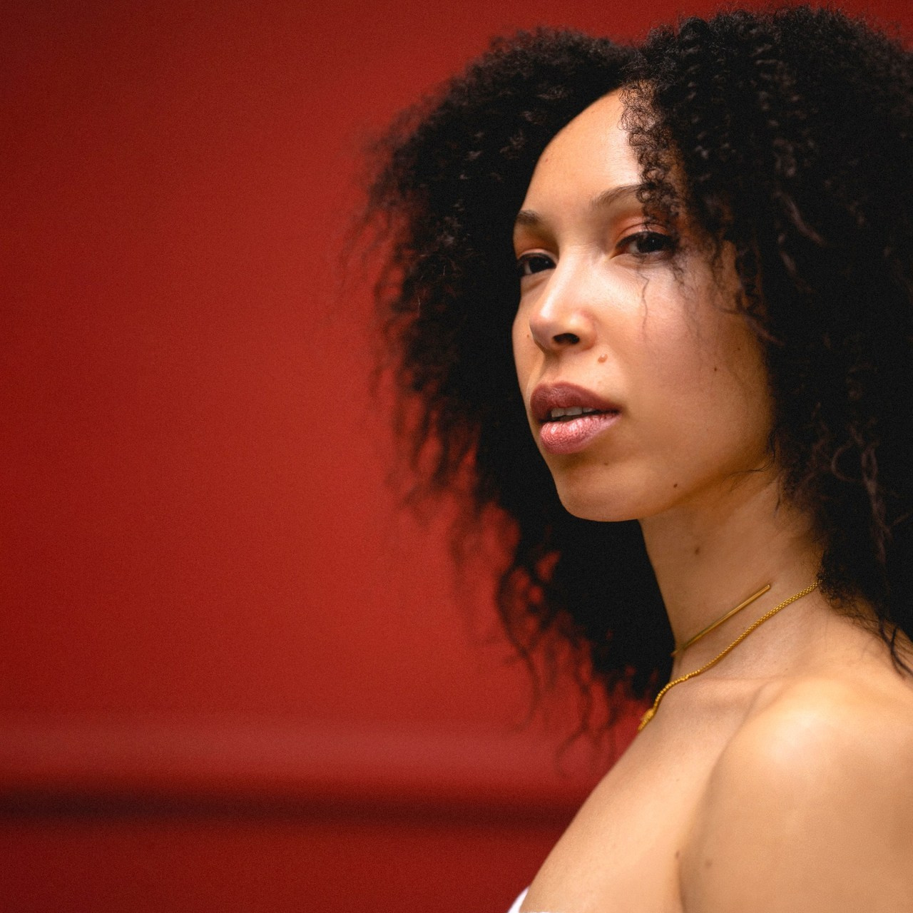 Testimonios. Fotógrafo de eventos en Cuidad de Mexico Dasha Shchukova