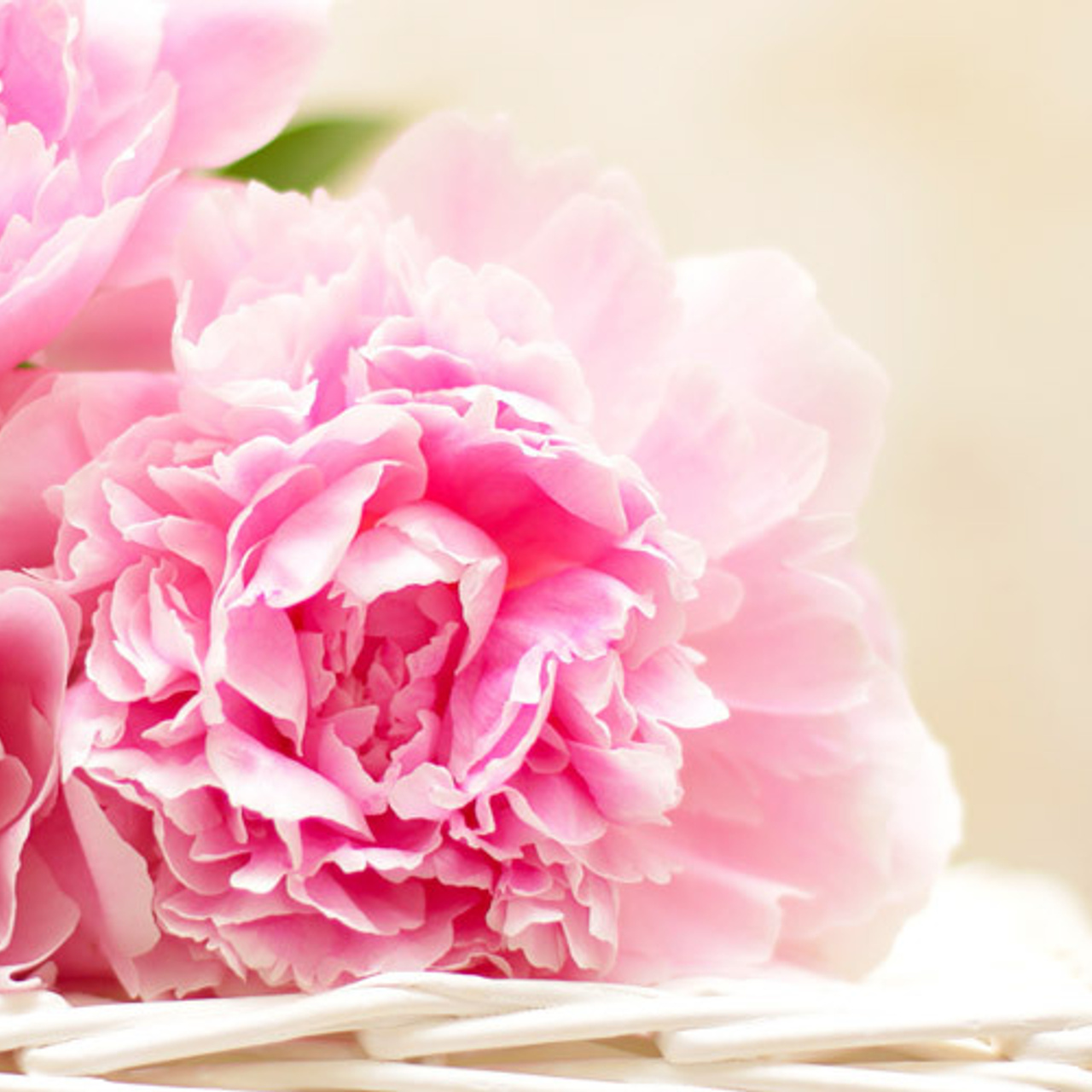 Отзывы. Свадебный и семейный фотограф в Марселе и Провансе. Elvira Tabisheva