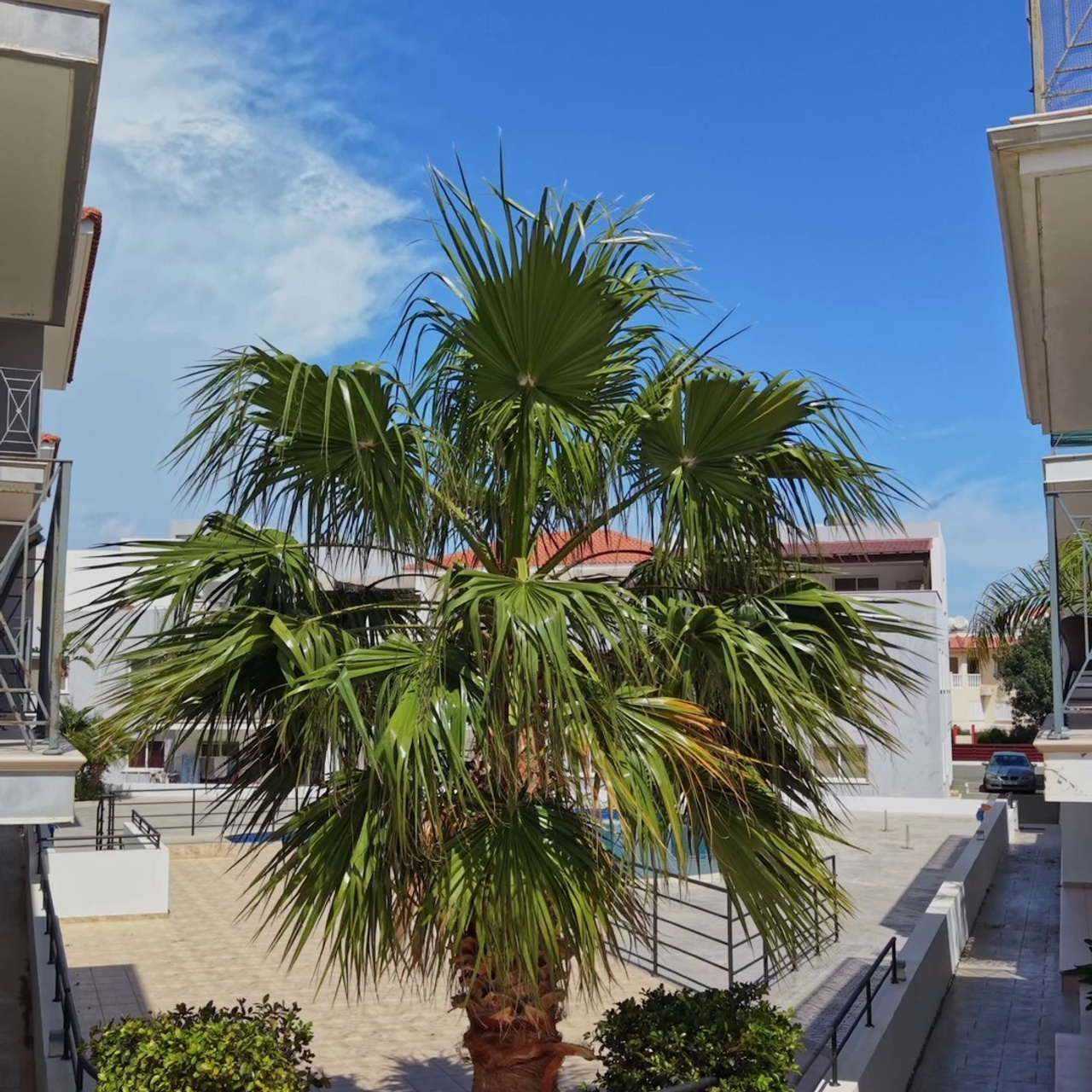 Filming, Photography and Videography in Cyprus for WEDDING, Christening, Baptism, Social media contest, Real estate content