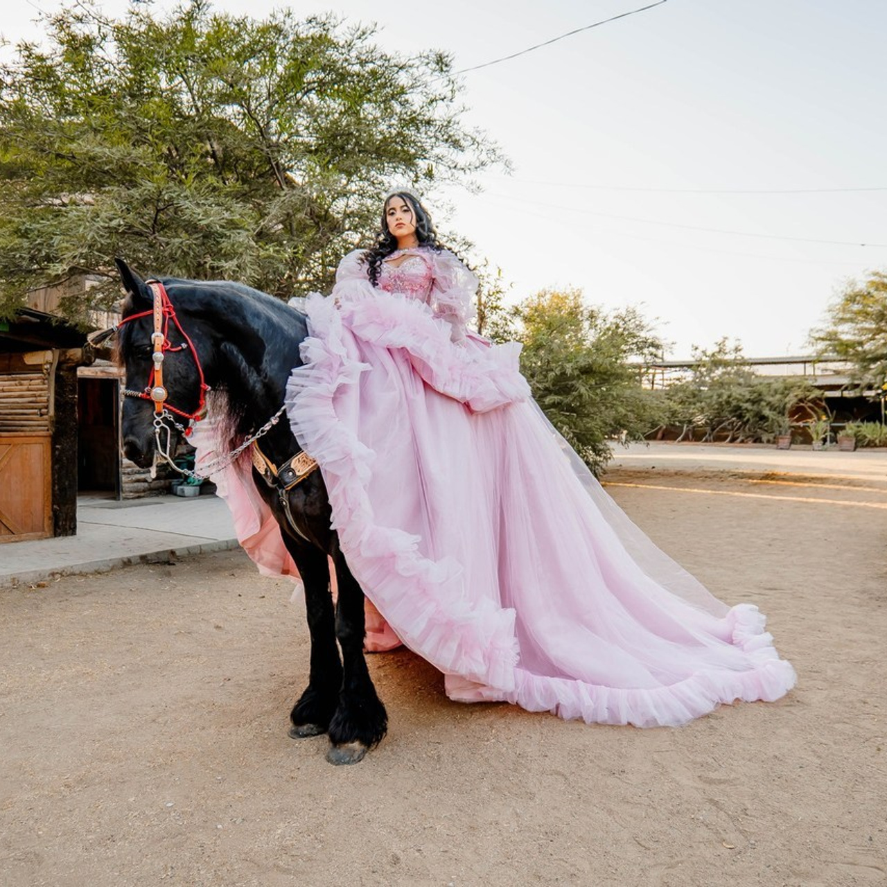 Testimonios. Fotógrafo de Bodas en Tijuana | Alex Martínez