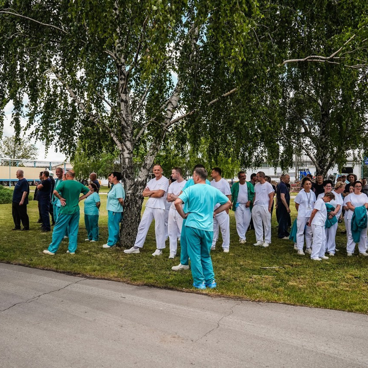 Utisci klijenata. ZORAN TORĐAN — FOTOGRAF I VIDEO PRODUCENT Zrenjanin