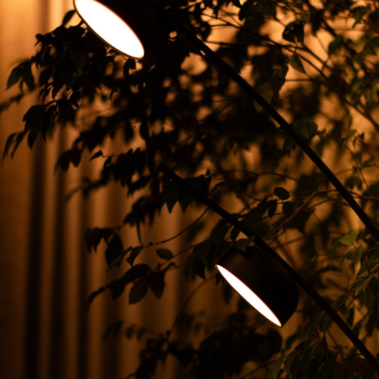 Testemunhos. Olhares Litúrgicos