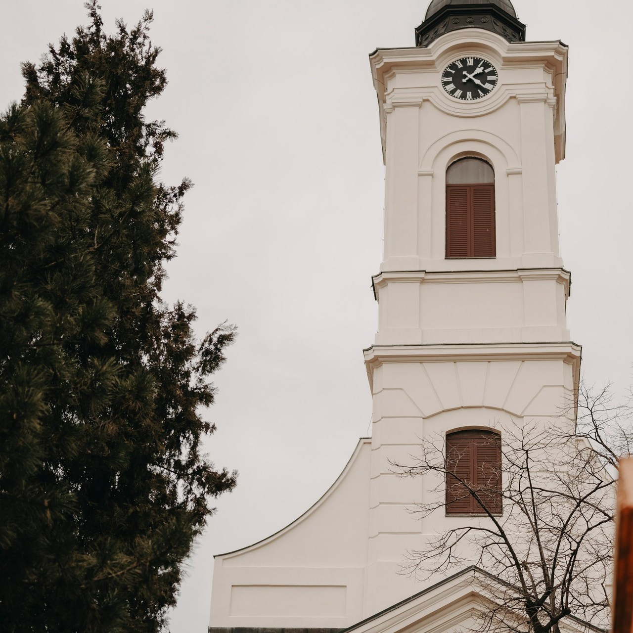 Vaši utisci. Deciji i porodicni fotograf u Beogradu Oksana Skendzic