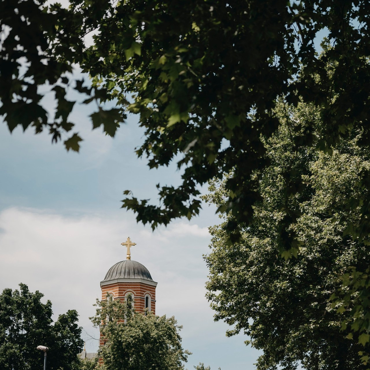 Vaši utisci. Deciji i porodicni fotograf u Beogradu Oksana Skendzic