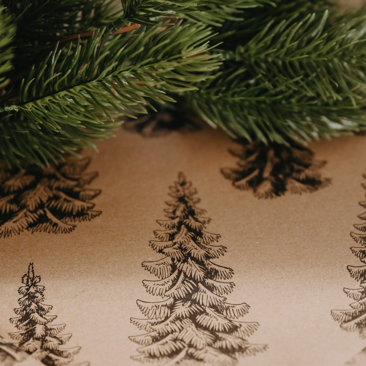 NOVOGODISNJE FOTOGRAFISANJE. Deciji i porodicni fotograf u Beogradu Oksana Skendzic