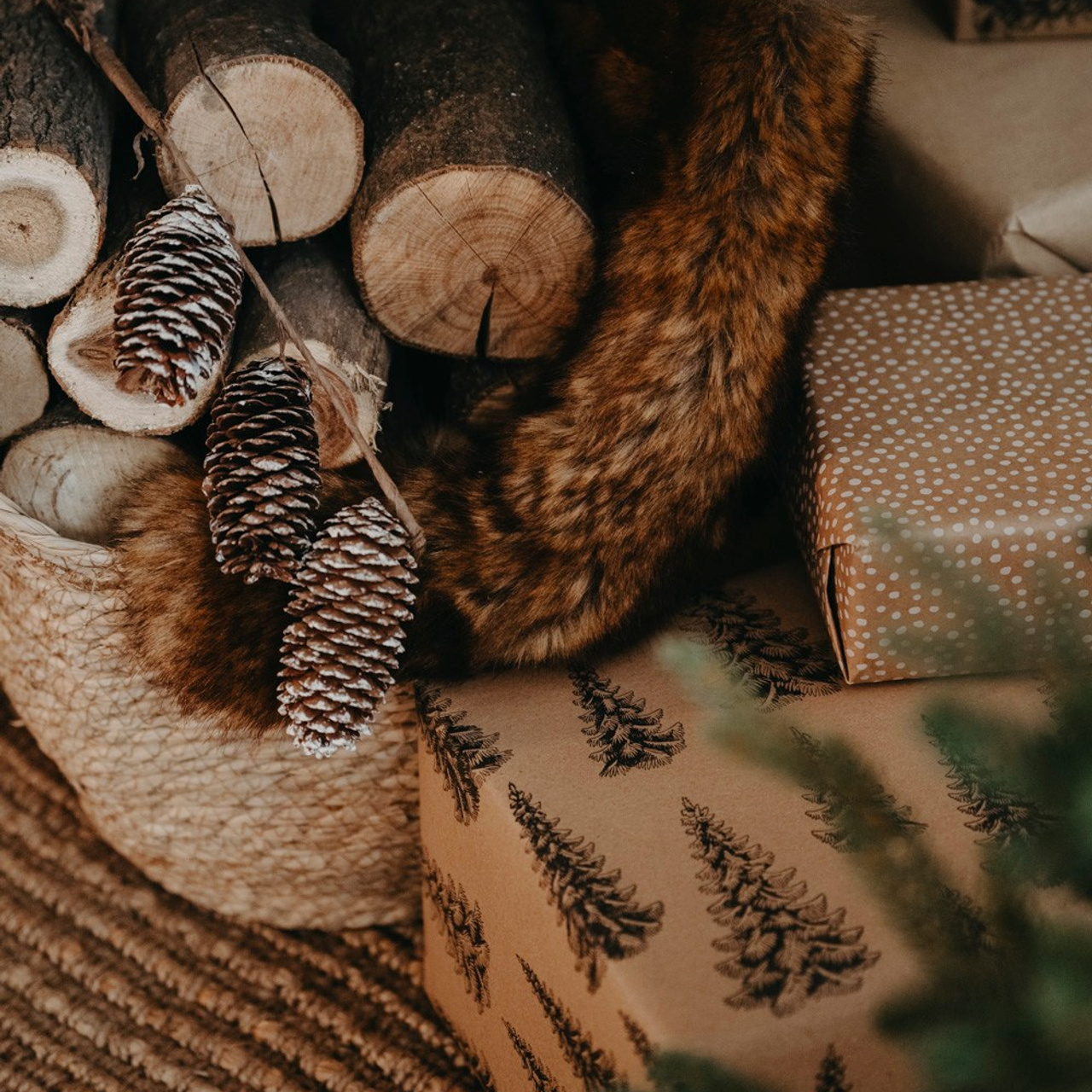 NOVOGODISNJE FOTOGRAFISANJE. Deciji i porodicni fotograf u Beogradu Oksana Skendzic