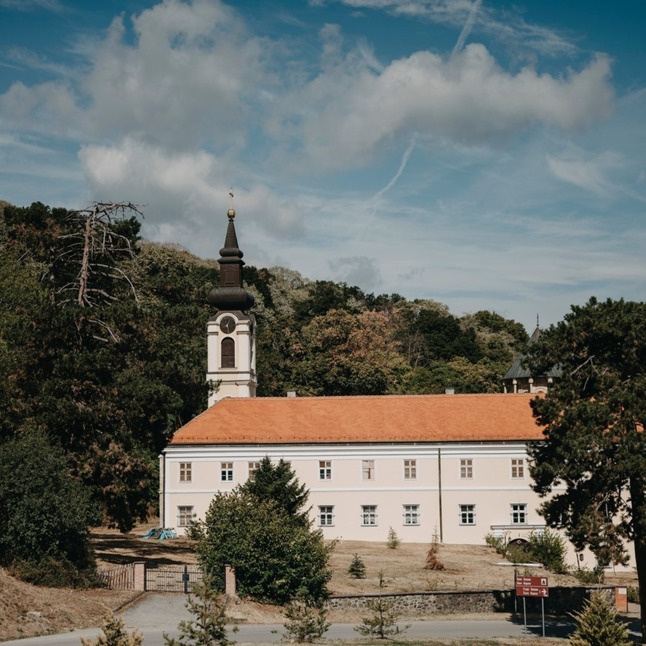 Vaši utisci. Deciji i porodicni fotograf u Beogradu Oksana Skendzic