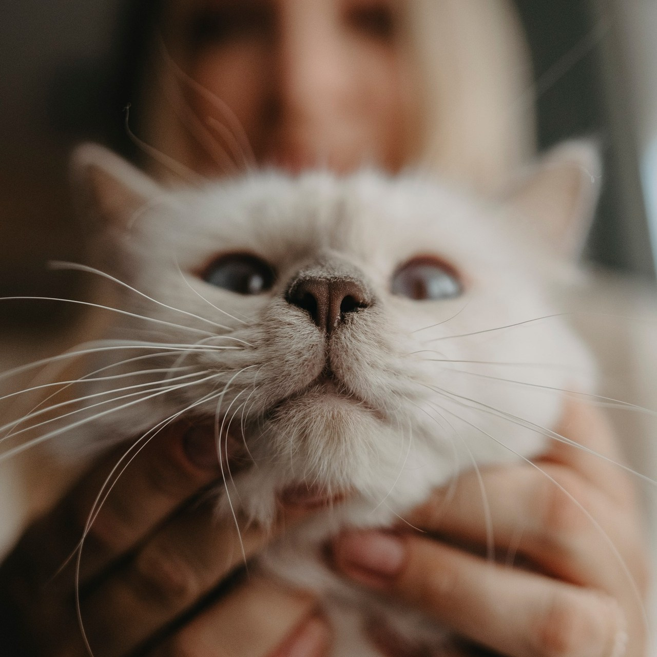 Vaši utisci. Deciji i porodicni fotograf u Beogradu Oksana Skendzic