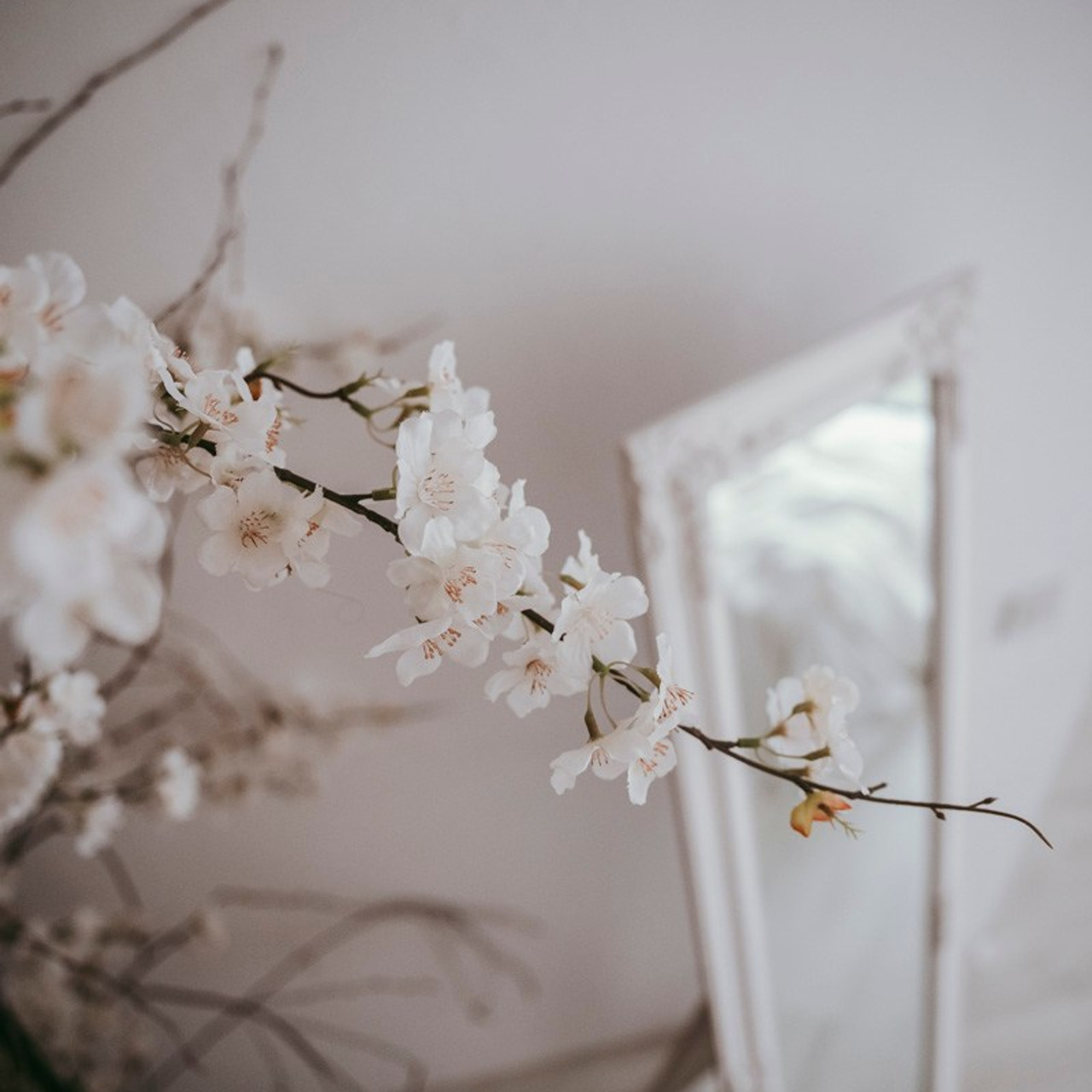 MAMINO. Deciji i porodicni fotograf u Beogradu Oksana Skendzic