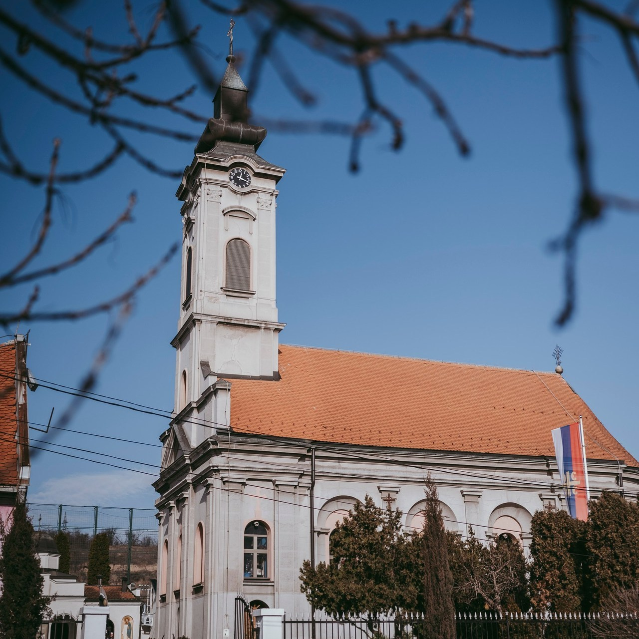 Vaši utisci. Deciji i porodicni fotograf u Beogradu Oksana Skendzic