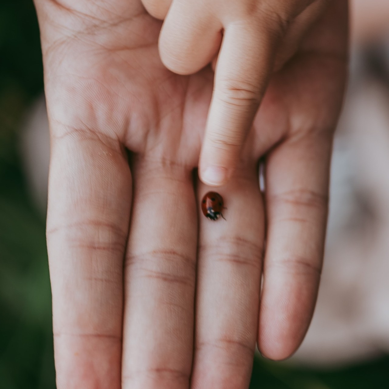 Vaši utisci. Deciji i porodicni fotograf u Beogradu Oksana Skendzic