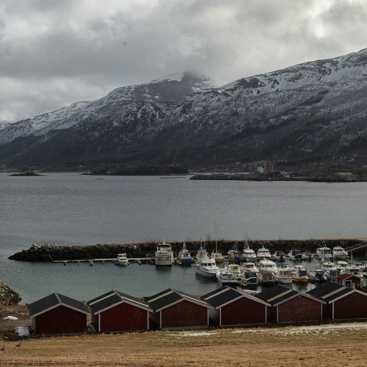 Anmeldelser. Din fotograf i Narvik kommune