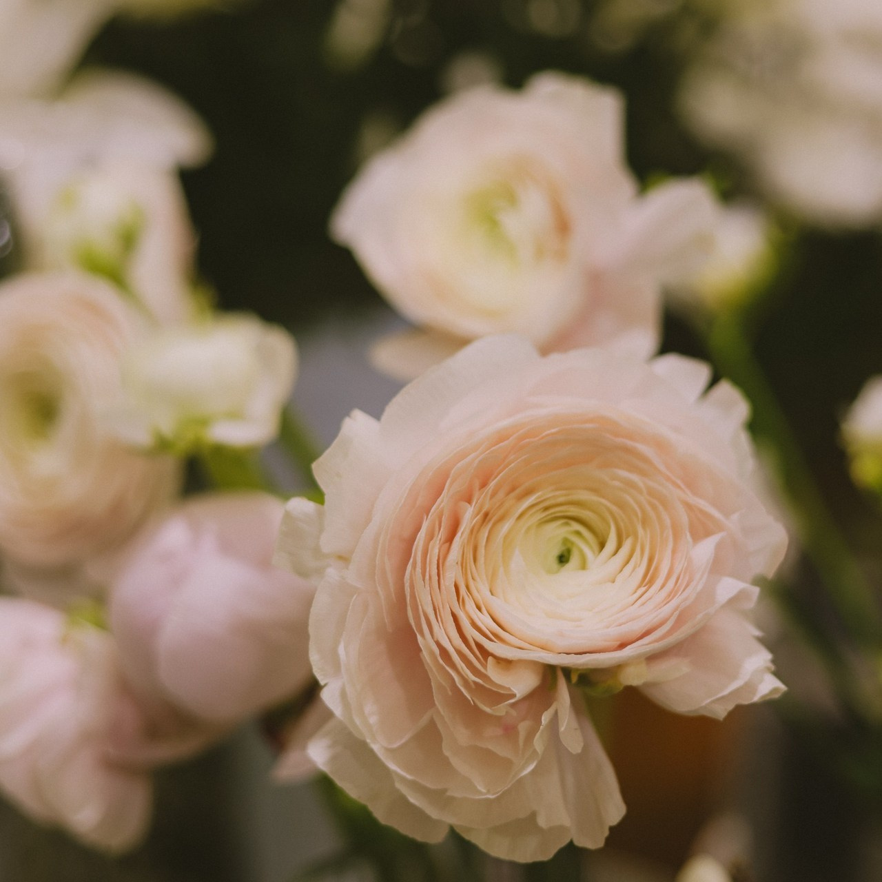 Отзывы. Свадебный, семейный и детский фотограф в Беларуси и за ее пределами