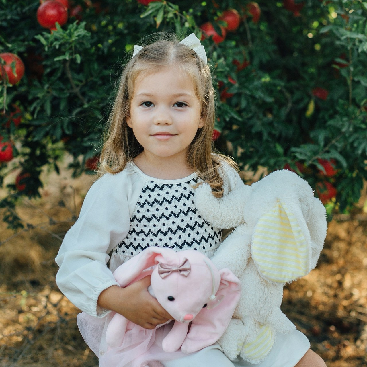 Testimonials. Family photographer in Israel