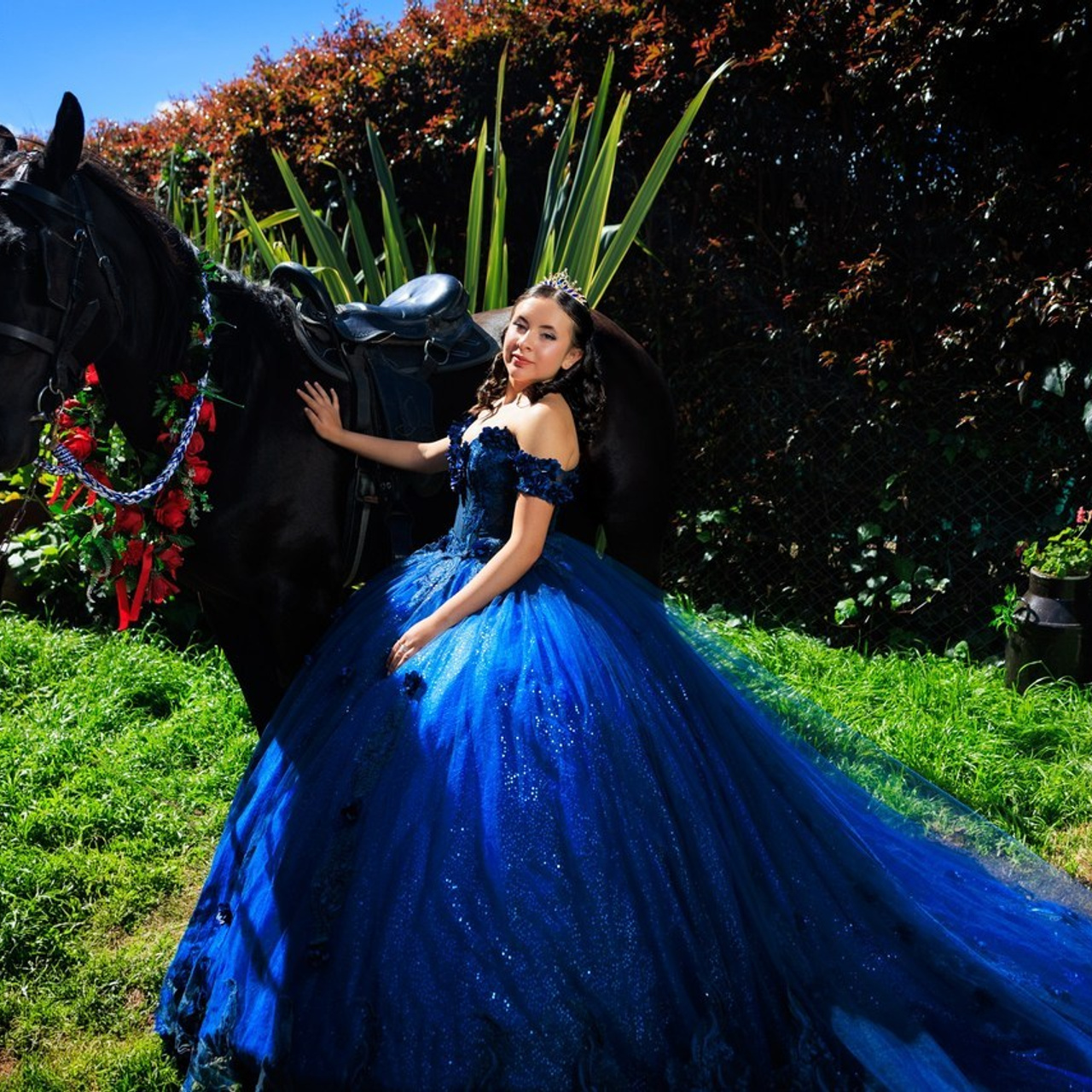 Harnol Lopez - Fotografia de Quinces & Bodas