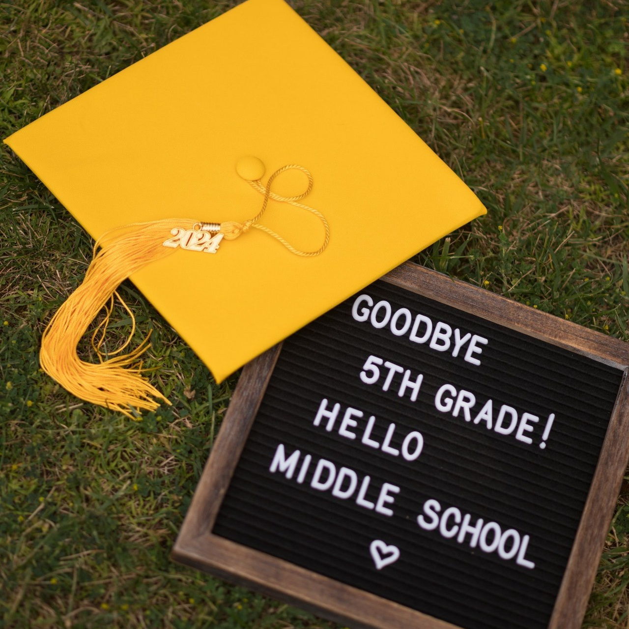 Client Stories. Bay Area Family Photographer — Sovanna