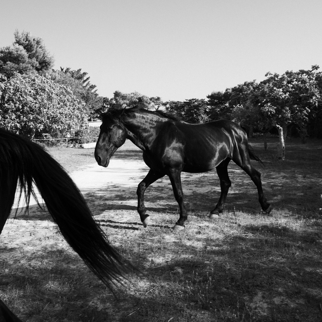 Feedback. Alyona Nikolaeva — fotografo a Lecce