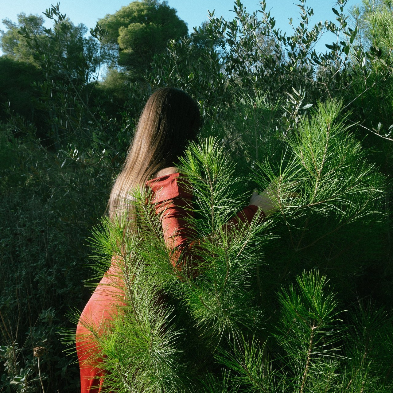 Feedback. Alyona Nikolaeva — fotografo a Lecce