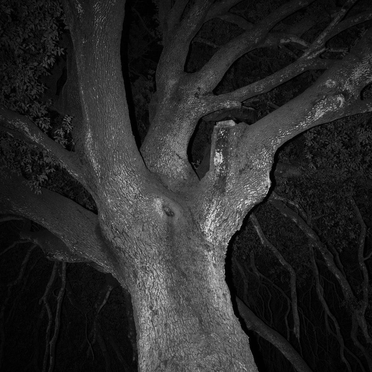 Feedback. Alyona Nikolaeva — fotografo a Lecce