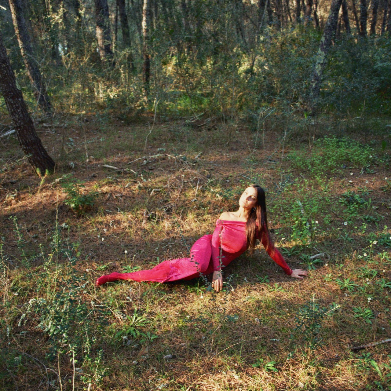 Feedback. Alyona Nikolaeva — fotografo a Lecce