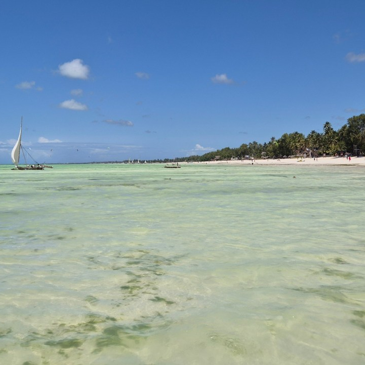 Отзывы. Elina Reisen. Туристическое агентство в Аугсбурге