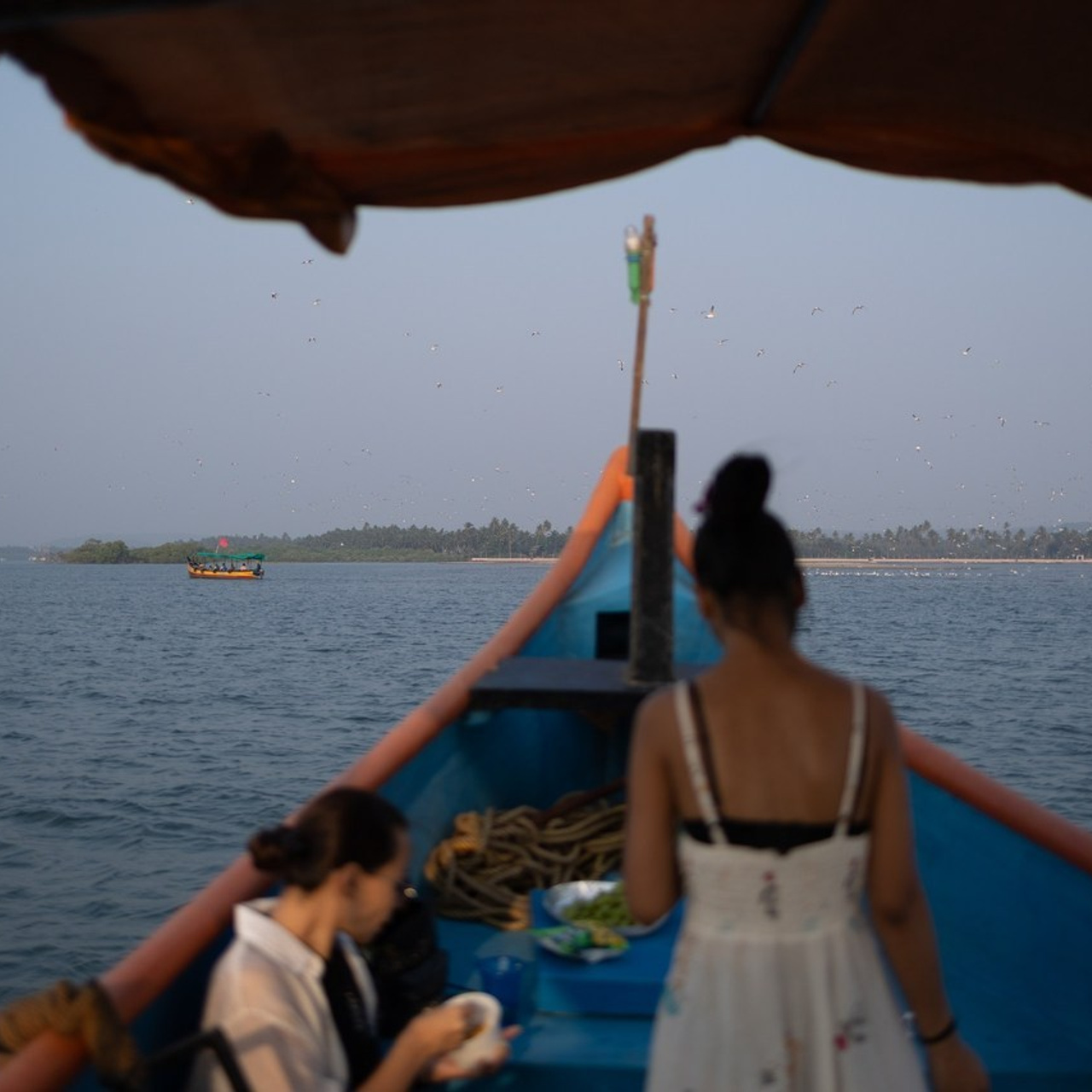 FEEDBACK. International Photographer