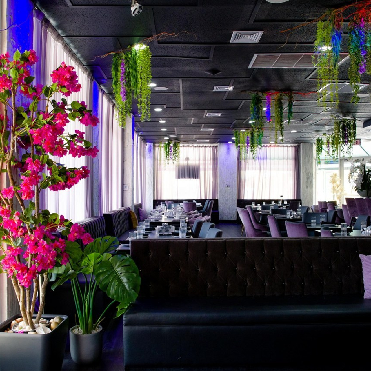 Review best photographers Miami. Miami Family and Event Photographer