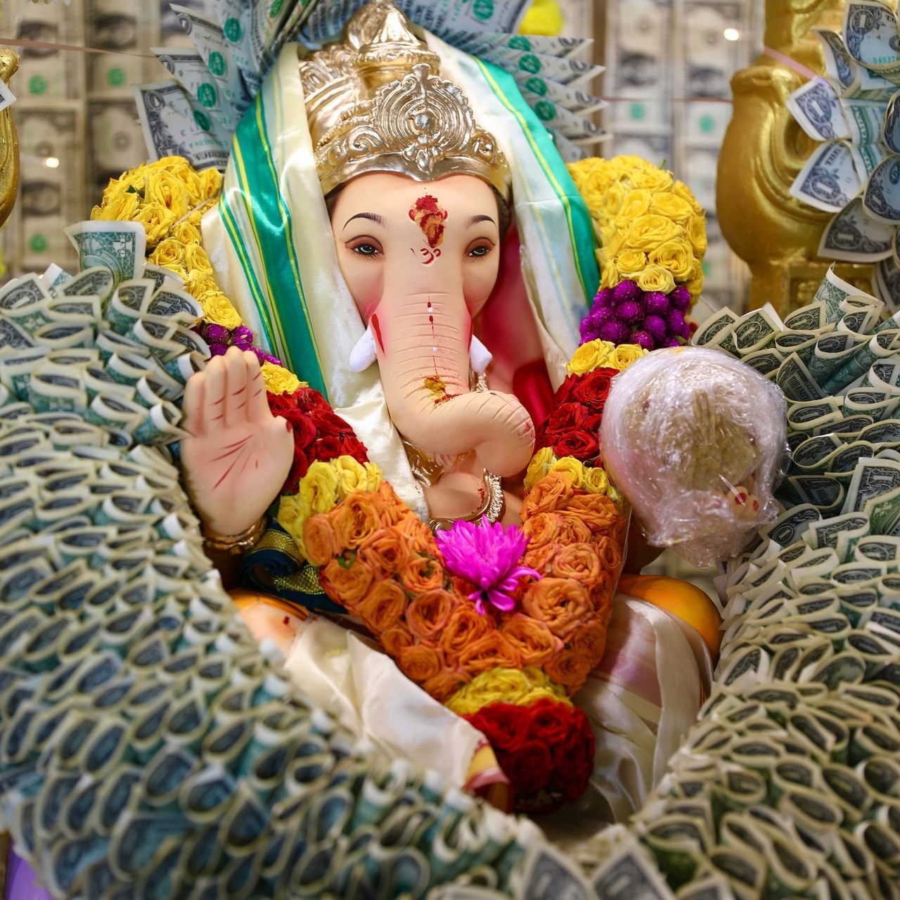 Reviews. AP Lens Photography | Newborn, Maternity, Milestone & Family Photographer Little Elm TX