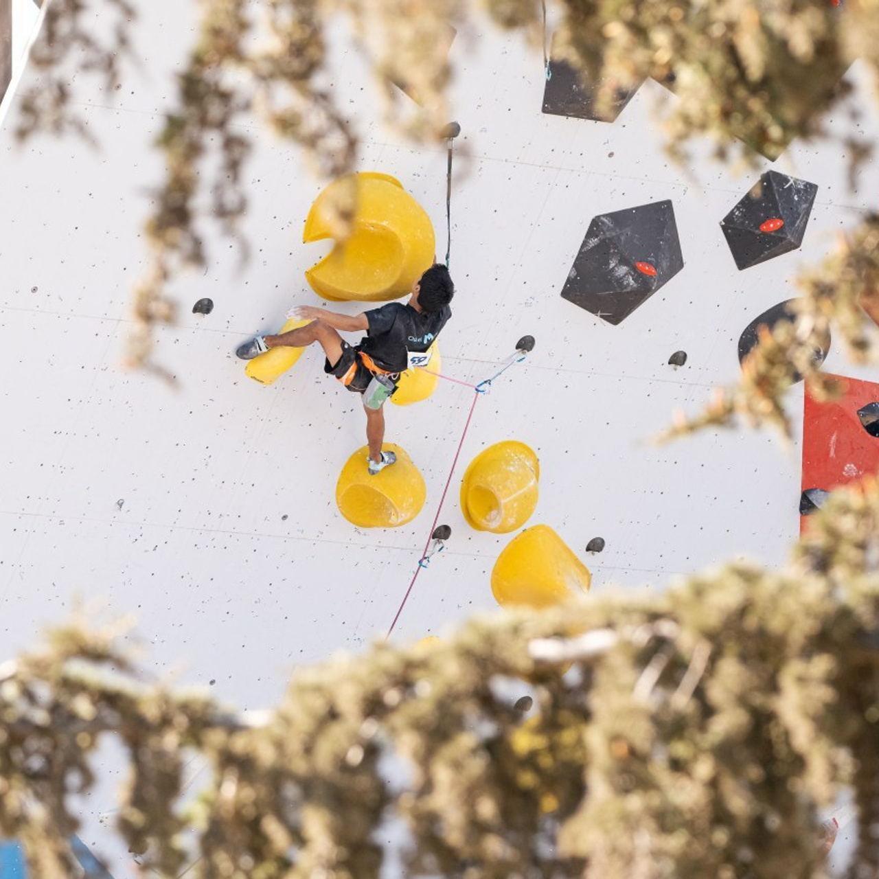 Отзывы. Фотографы Дарья и Дмитрий Арсентьевы