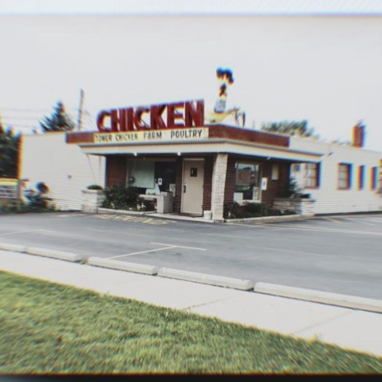 Lens Work lFrom the Field 8