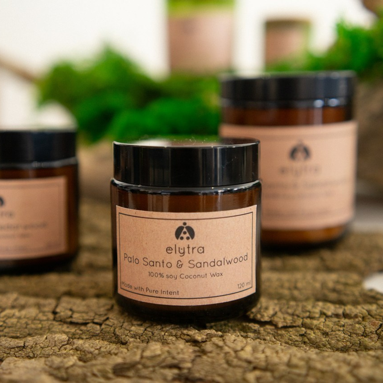 Wedding, Family, Portrait and Commercial Photography Portfolio | Photographer in Windsor & Toronto, Ontario. Inna Kovaleva — Photographer in Windsor/Toronto, ON