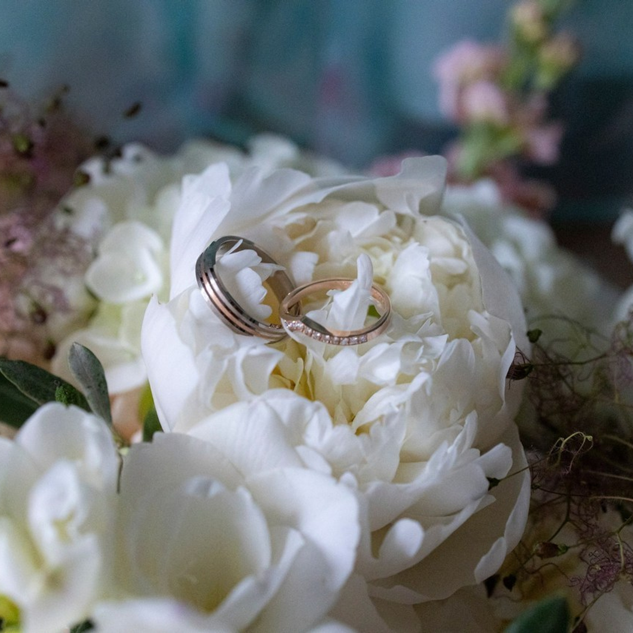 Отзывы. Евгения Смирнова — фотограф в Тулузе и юго-западной Франции