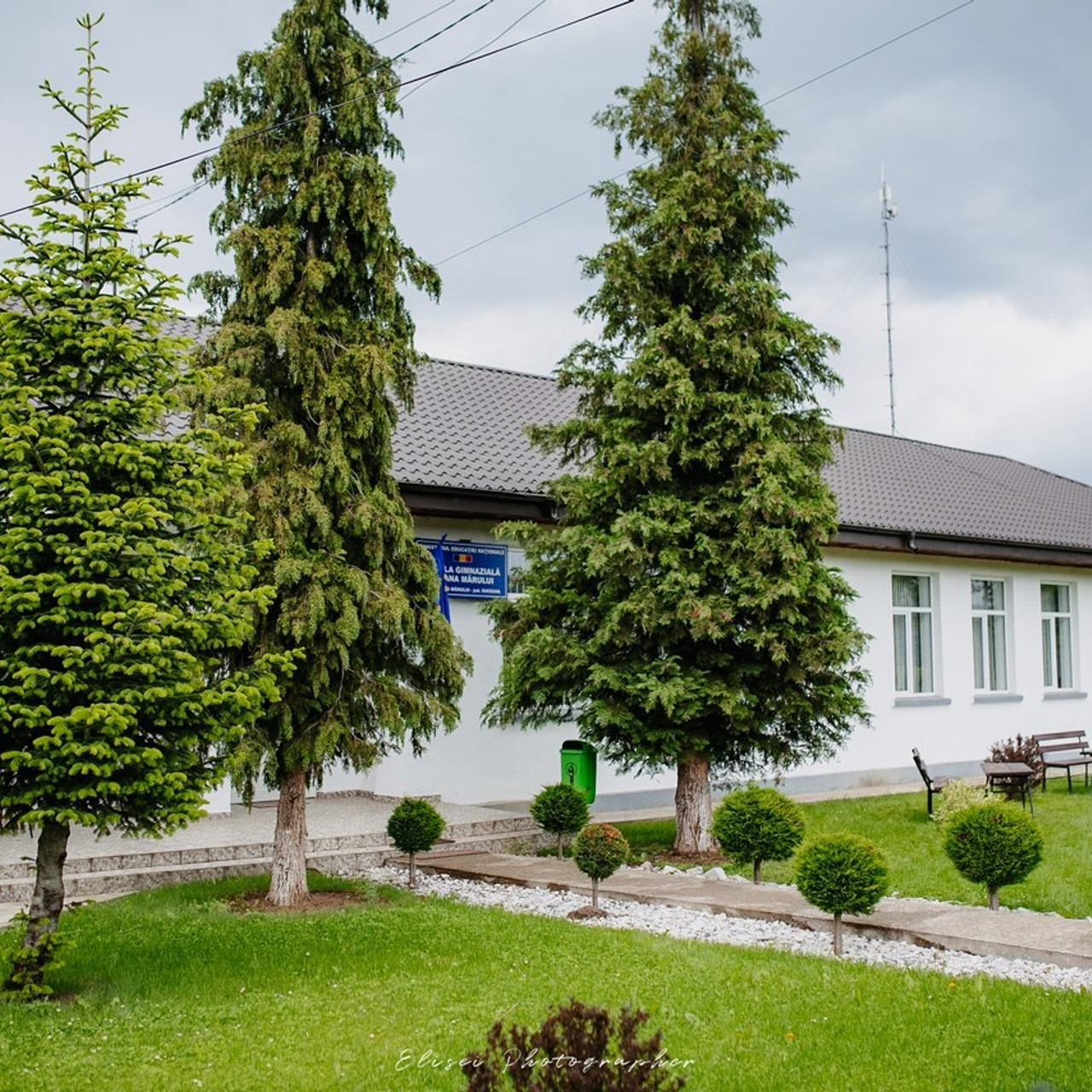 Recenzii Elisei Fotograf