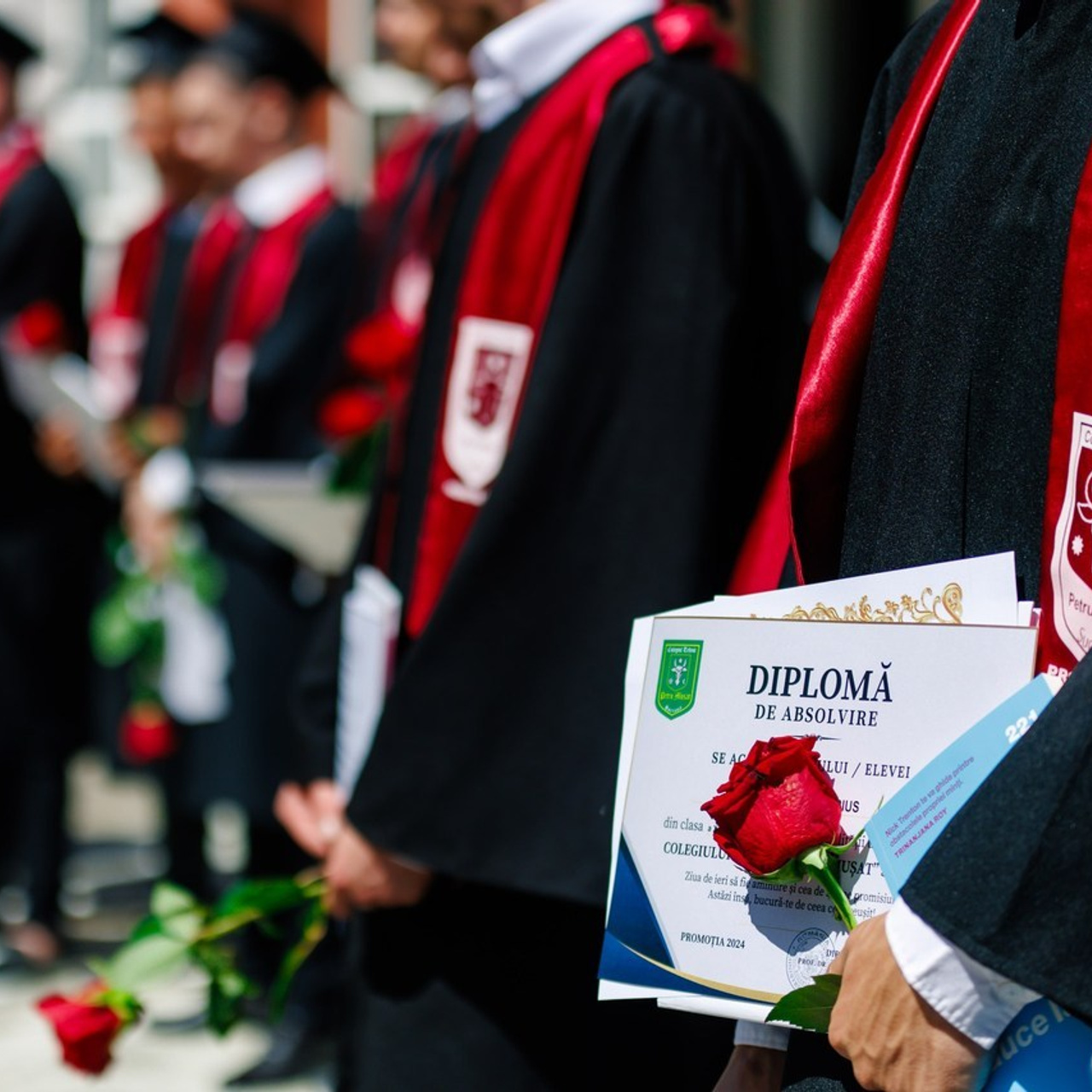 Recenzii Elisei Fotograf