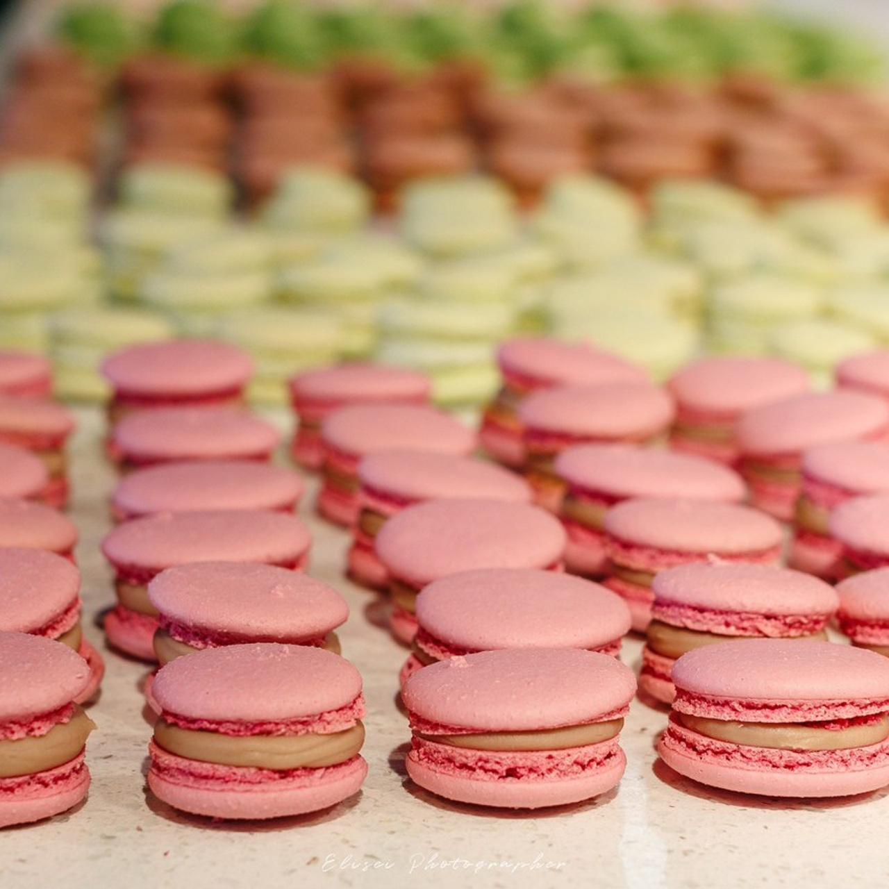 Recenzii Elisei Fotograf