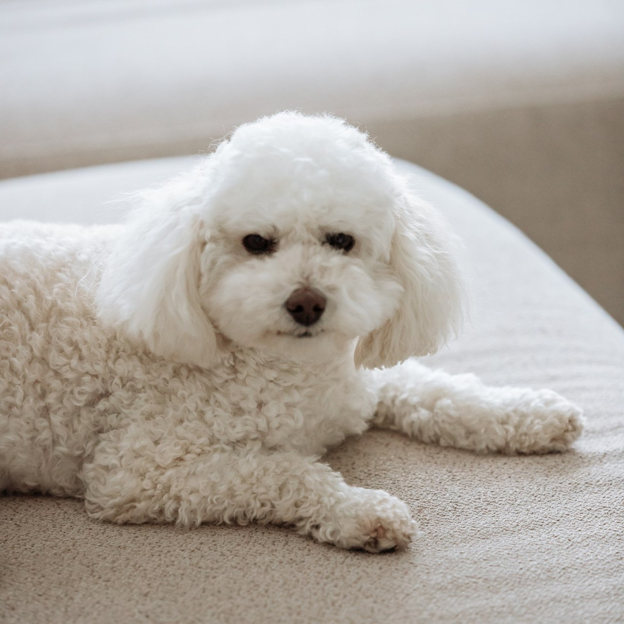 Atsiliepimai. Wedding, christening and family photographers in Vilnius, Lithuania