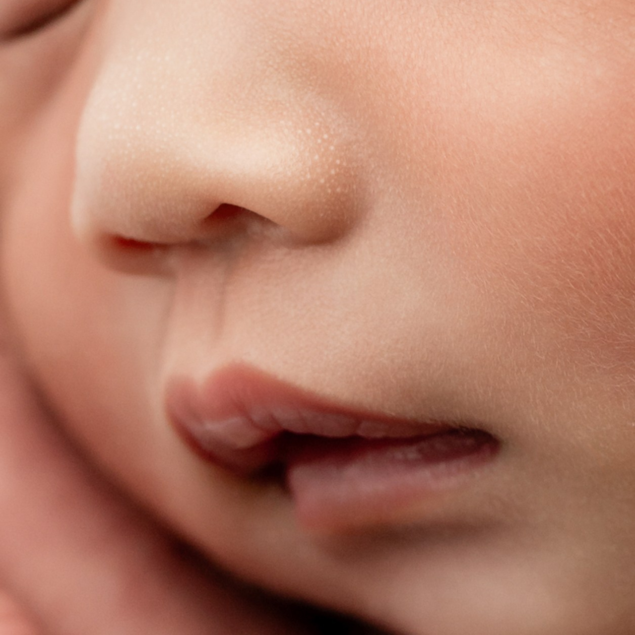 Reviews. Iana Banana | Toronto Maternity, Newborn & Family Photographer