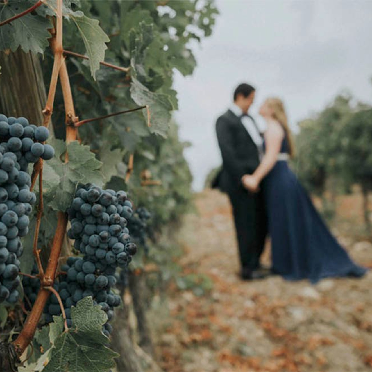 Client Testimonials For Prague Photographer Kurt Vinion