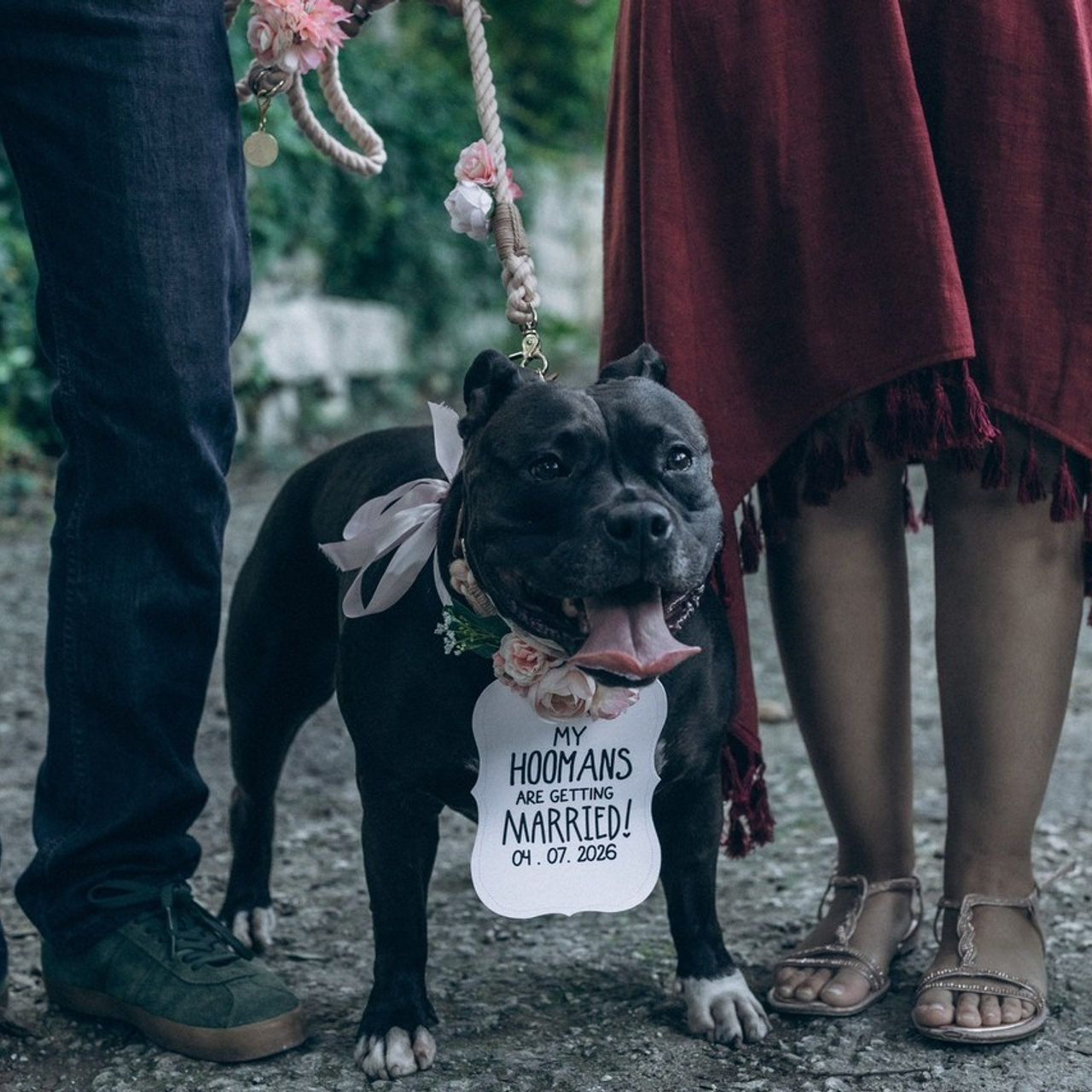 Testimonials. Lifestyle photographer Malta Olga Sammut