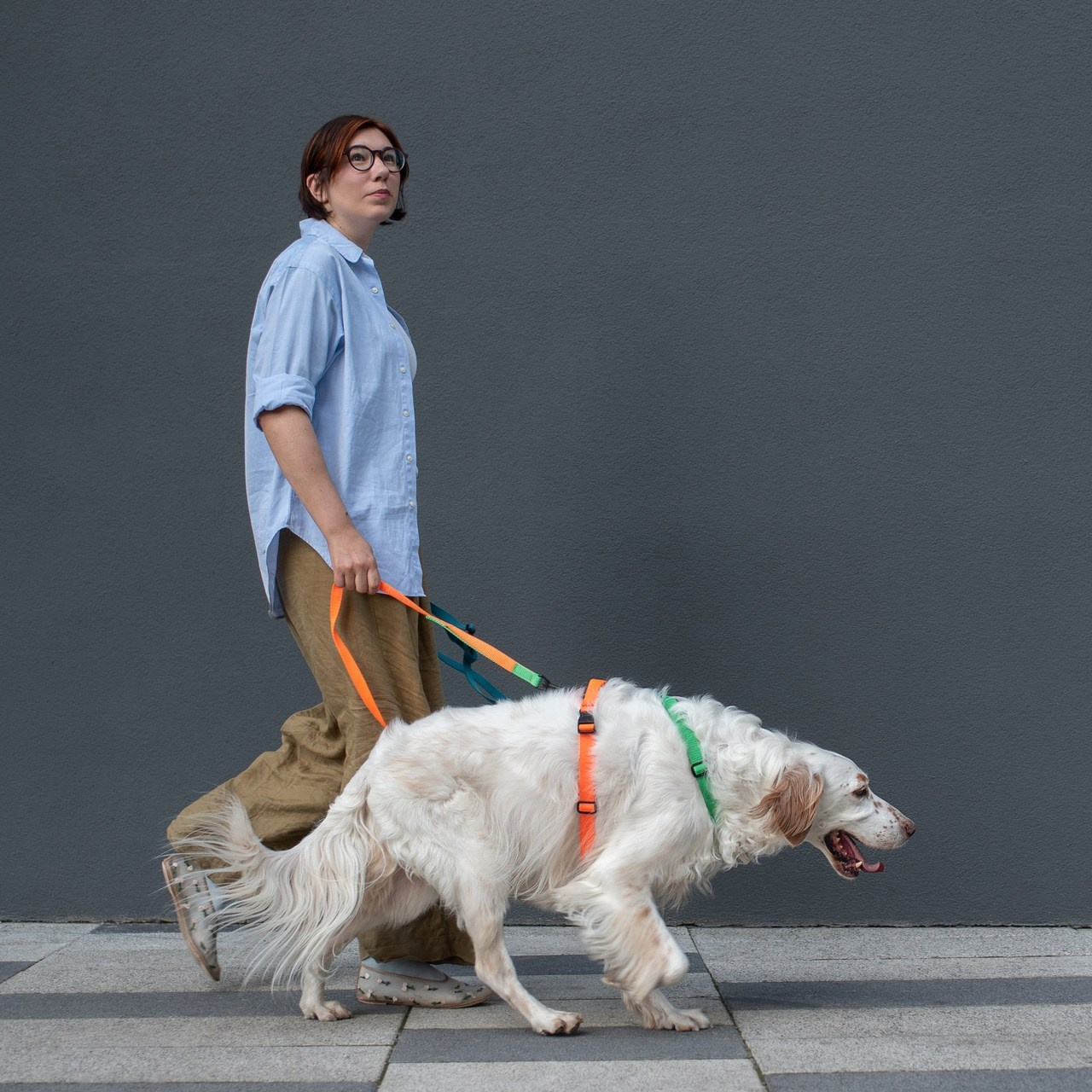 Client Reviews | Pet Photography by Tanya Asfir, Belgrade. Tanya Asfir — Pet & Animal Photographer | Belgrade, Serbia