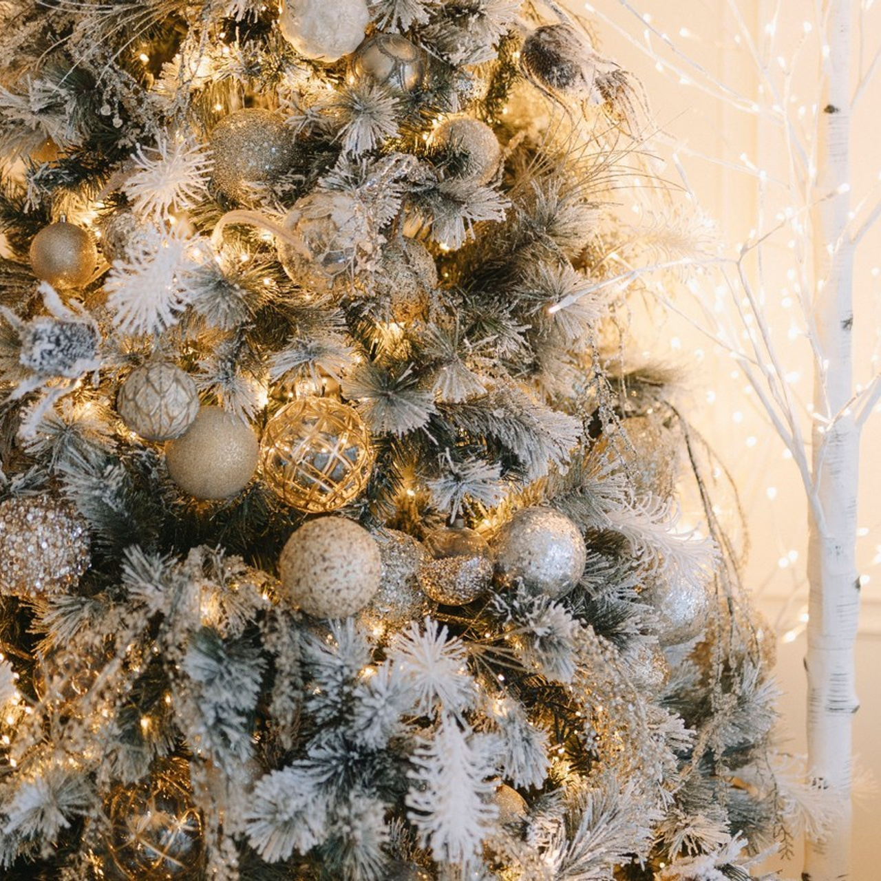 Отзывы. Фотограф в Таллинне — портретные, семейные и детские фотосессии