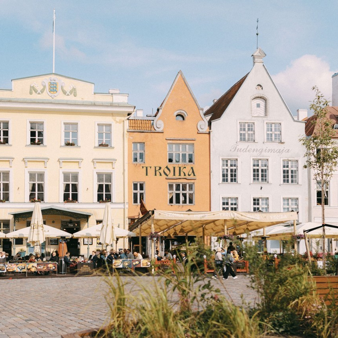 Отзывы. Фотограф в Таллинне — портретные, семейные и детские фотосессии