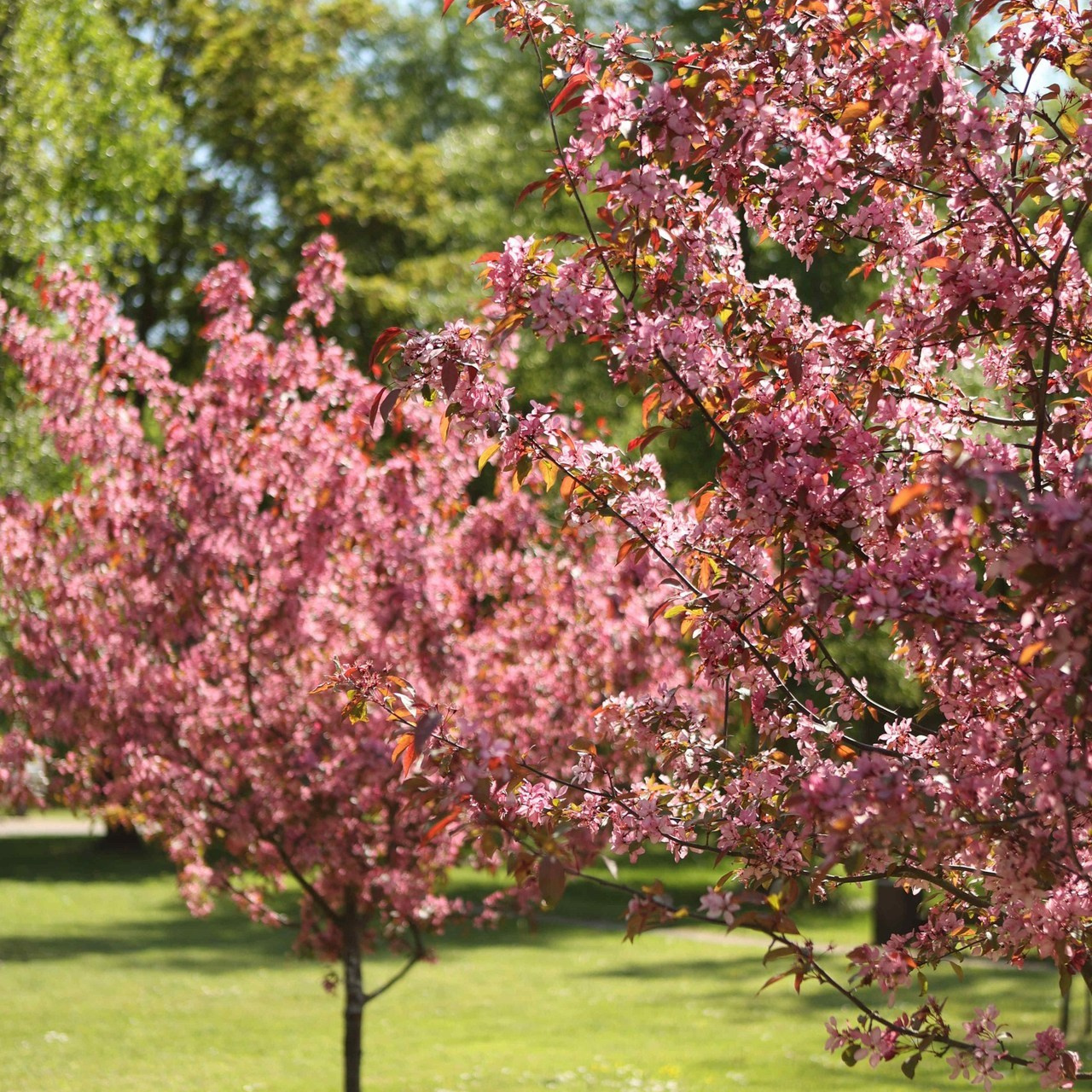 Отзывы. Фотограф в Таллинне — портретные, семейные и детские фотосессии
