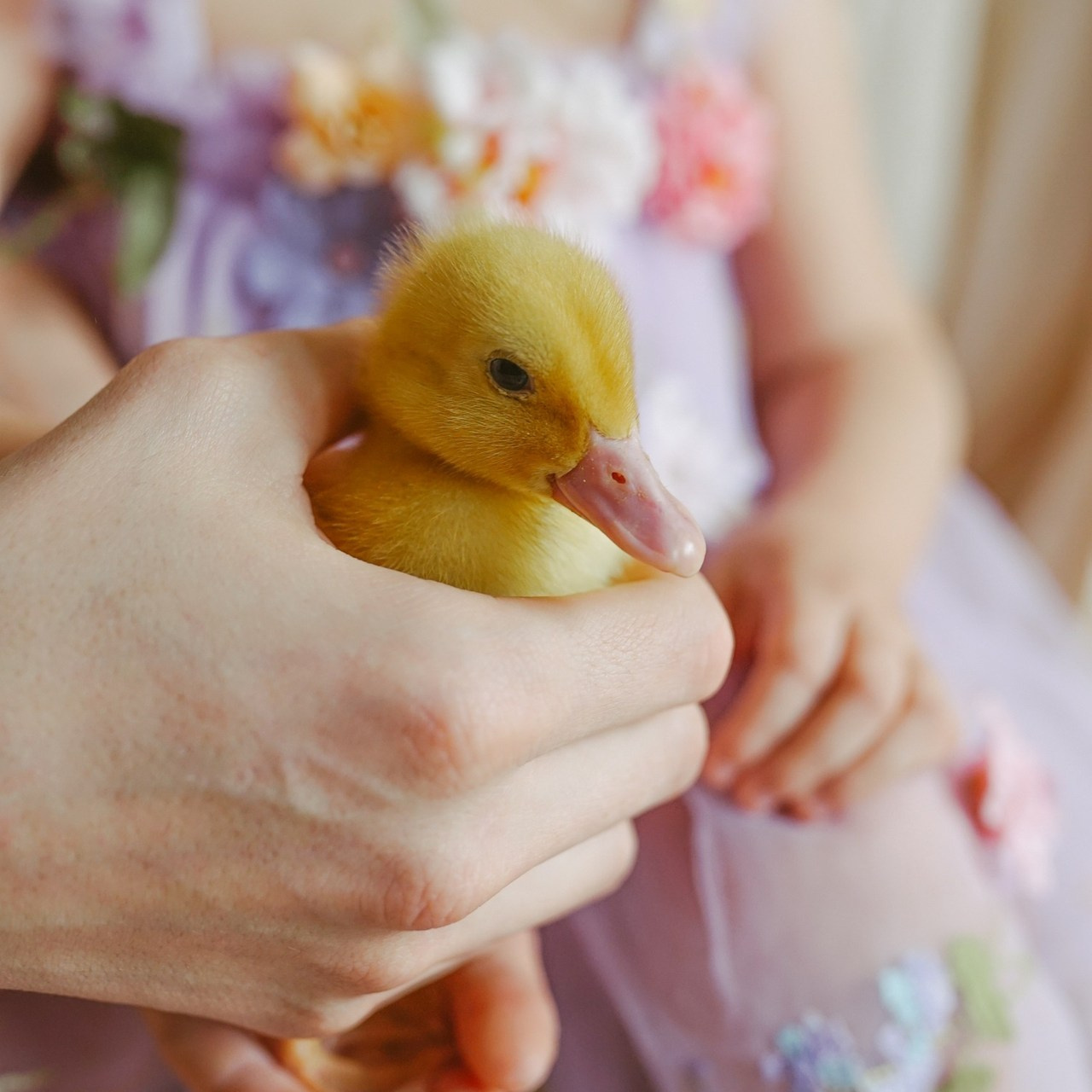 Mărturii și Experiențe ale Părinților | Mădălina Beda. Madalina Beda- Artist vizual, fotograf, doula la nastere, consultant babywearing Brasov si in toata tara