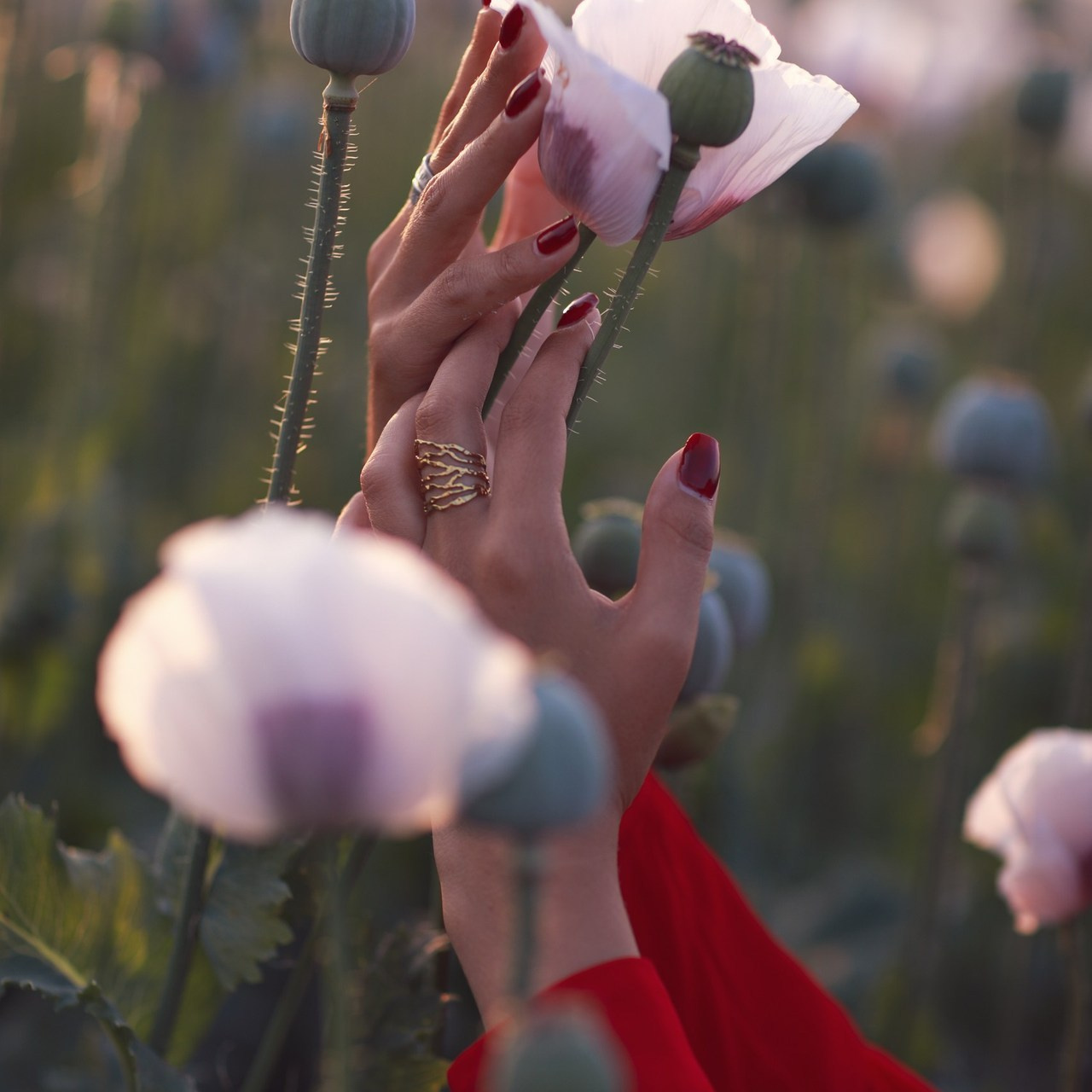 Отзывы. Фотограф в Праге и Италии Марина Сачкова