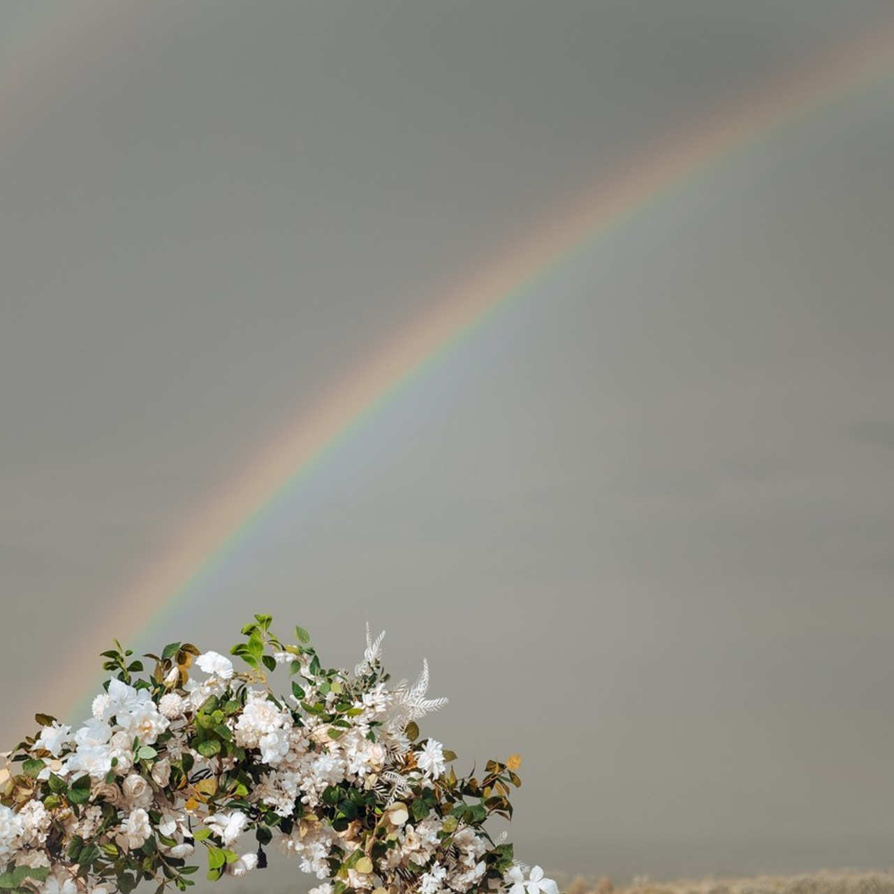Отзывы. Фотограф в Бишкеке Андрей Кавешников