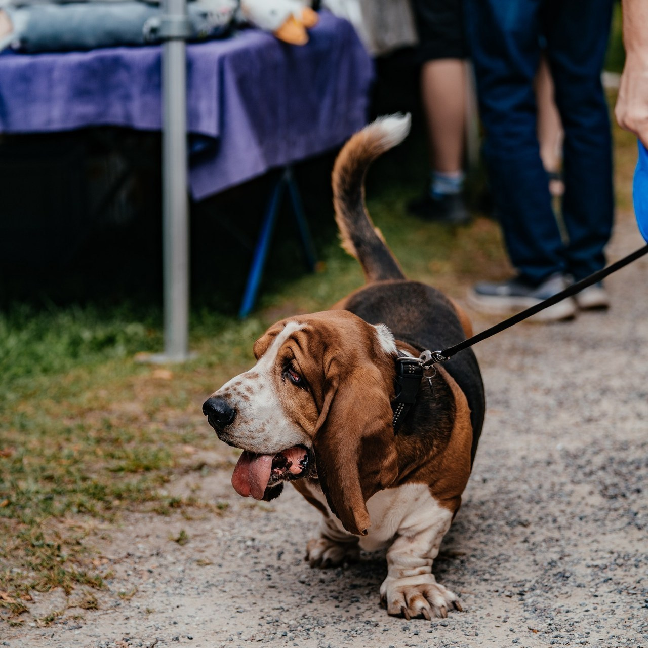 Отзывы. Uvarovsphoto